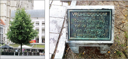 Bevrijdingsboom Antwerpen (Fotos: https://www.tracesofwar.nl/sights/4817/Bevrijdingsboom-Antwerpen.htm )